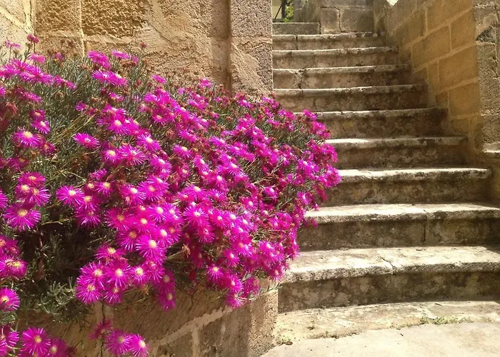 Tenuta Belvedere - Relais De Charme *