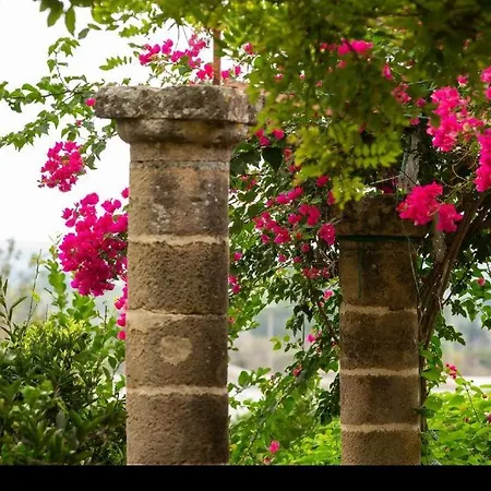 Tenuta Belvedere - Relais De Charme Διαμέρισμα Alezio