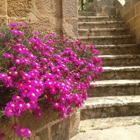 Tenuta Belvedere - Relais De Charme *