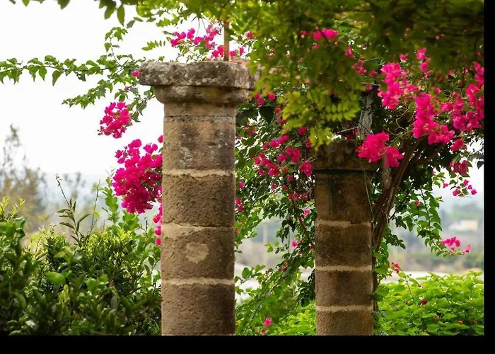 Tenuta Belvedere - Relais De Charme 公寓 奥利吉欧